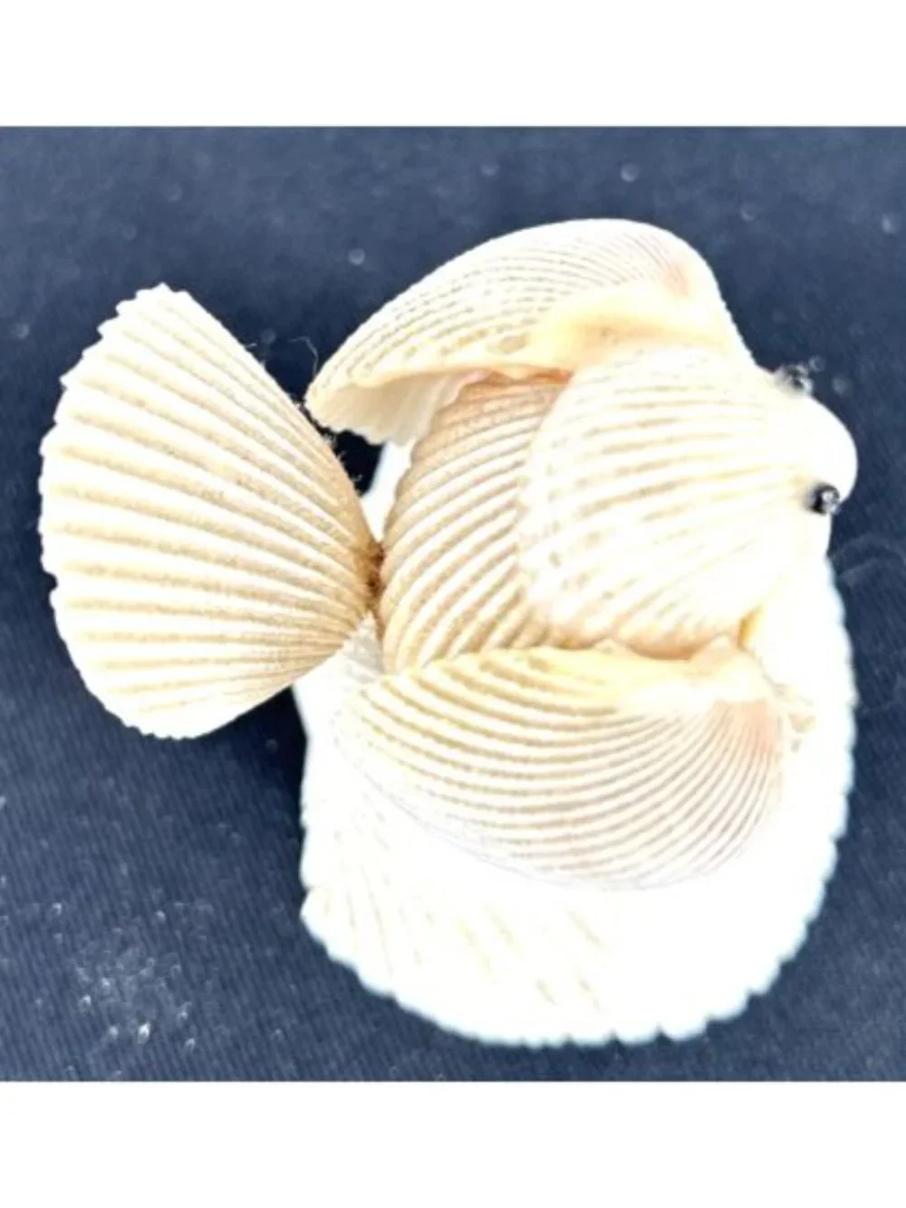 Seashell Bird Figurine Shelf Sitter Vtg 2.5